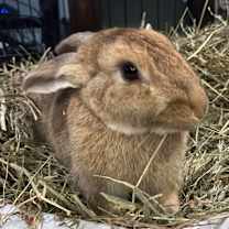 Thumbnail photo of Milton #2