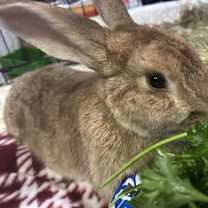 Thumbnail photo of Milton #3