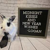 Thumbnail photo of Logan #2