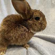 Thumbnail photo of Holy Pop #1