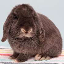 Thumbnail photo of Eddie #2