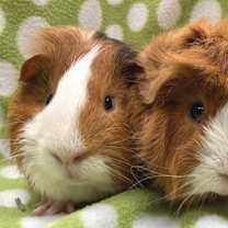 Thumbnail photo of Gary #3