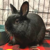 Thumbnail photo of Gio #1