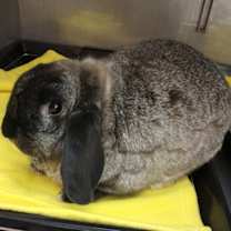 Thumbnail photo of Spot #1