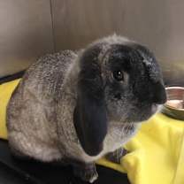 Thumbnail photo of Spot #2