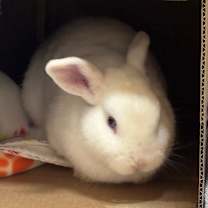 Thumbnail photo of Timmy Turner #1