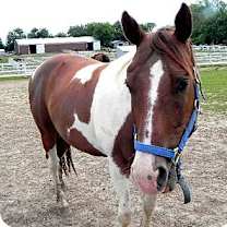 Thumbnail photo of Sonny #1
