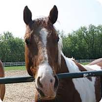 Thumbnail photo of Sonny #2