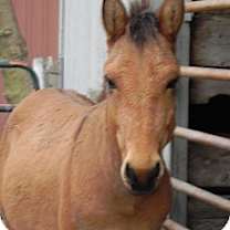 Thumbnail photo of Samule #1