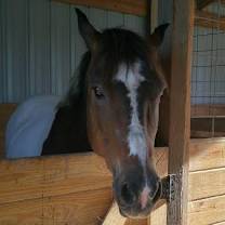 Thumbnail photo of Buster #4