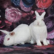 Thumbnail photo of Autumn & Winter #1