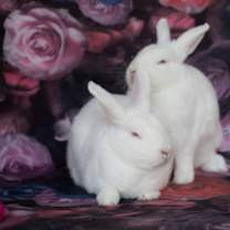 Thumbnail photo of Autumn & Winter #2