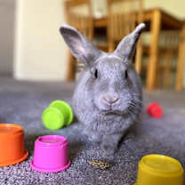 Thumbnail photo of Ocean #2