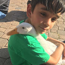 Thumbnail photo of Irene&George-Bonded Pair(Pets) #3