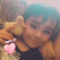 Thumbnail photo of Irene&George-Bonded Pair(Pets) #4