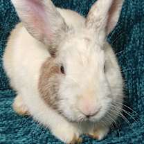 Thumbnail photo of Winslow #1