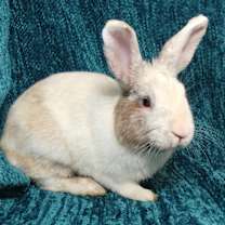 Thumbnail photo of Winslow #3