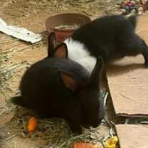 Thumbnail photo of Junior #2