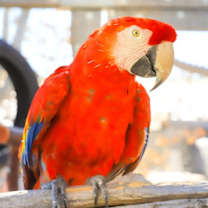 Thumbnail photo of Rainbow #1