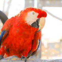 Thumbnail photo of Rainbow #3
