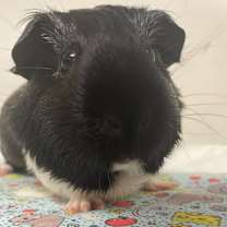 Thumbnail photo of Hero Baby #1