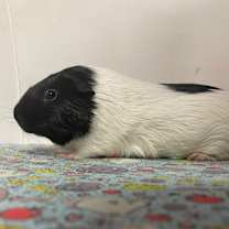 Thumbnail photo of Hero Baby #2