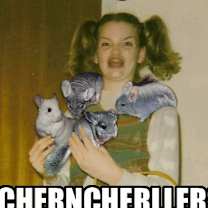 Thumbnail photo of chinchillas #2