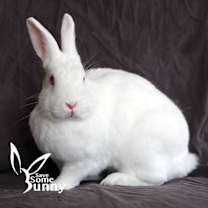 Thumbnail photo of BamBam (and Pebbles) #4