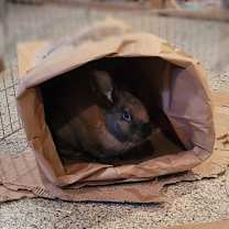 Thumbnail photo of Ayden #2