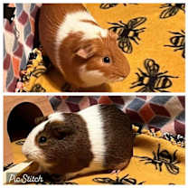 Thumbnail photo of Dio and Latte #1