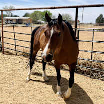 Thumbnail photo of Betsy #3