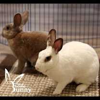 Thumbnail photo of Espi (and Penn) #1