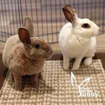 Thumbnail photo of Espi (and Penn) #3