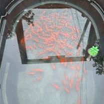 Thumbnail photo of Koi and Gold Fish #2