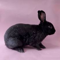 Thumbnail photo of Airport #3