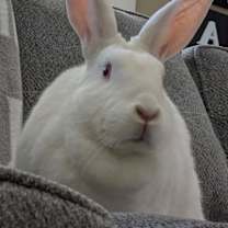 Thumbnail photo of Margot #1