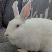 Thumbnail photo of Margot #2