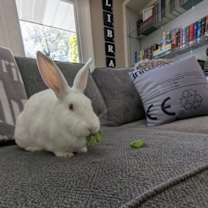 Thumbnail photo of Margot #3