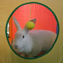 Thumbnail photo of Margot #4