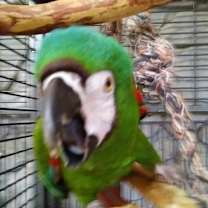Thumbnail photo of DaBubbaboy #2