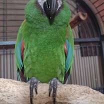 Thumbnail photo of DaBubbaboy #1