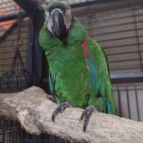 Thumbnail photo of DaBubbaboy #4