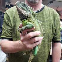 Thumbnail photo of Jiaolong #2