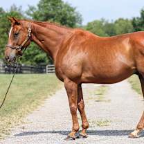 Thumbnail photo of Visibility #2