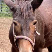 Thumbnail photo of Trudy #1