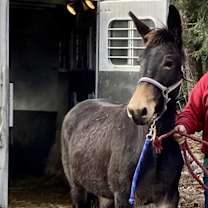 Thumbnail photo of Trudy #2