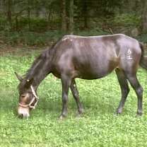 Thumbnail photo of Trudy #3