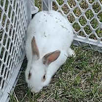 Thumbnail photo of Cloudy #1