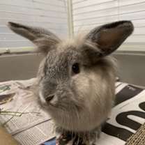 Thumbnail photo of Selma #4