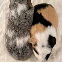 Thumbnail photo of Trenton #4